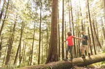 Senior couple enjoying the beauty of the forest Senior couple enjoying the beauty of the forest
